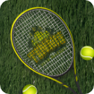 Tennis Slam 2025