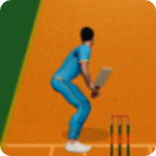 Unlimited Cricket Night Online